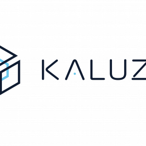 Kaluza logo